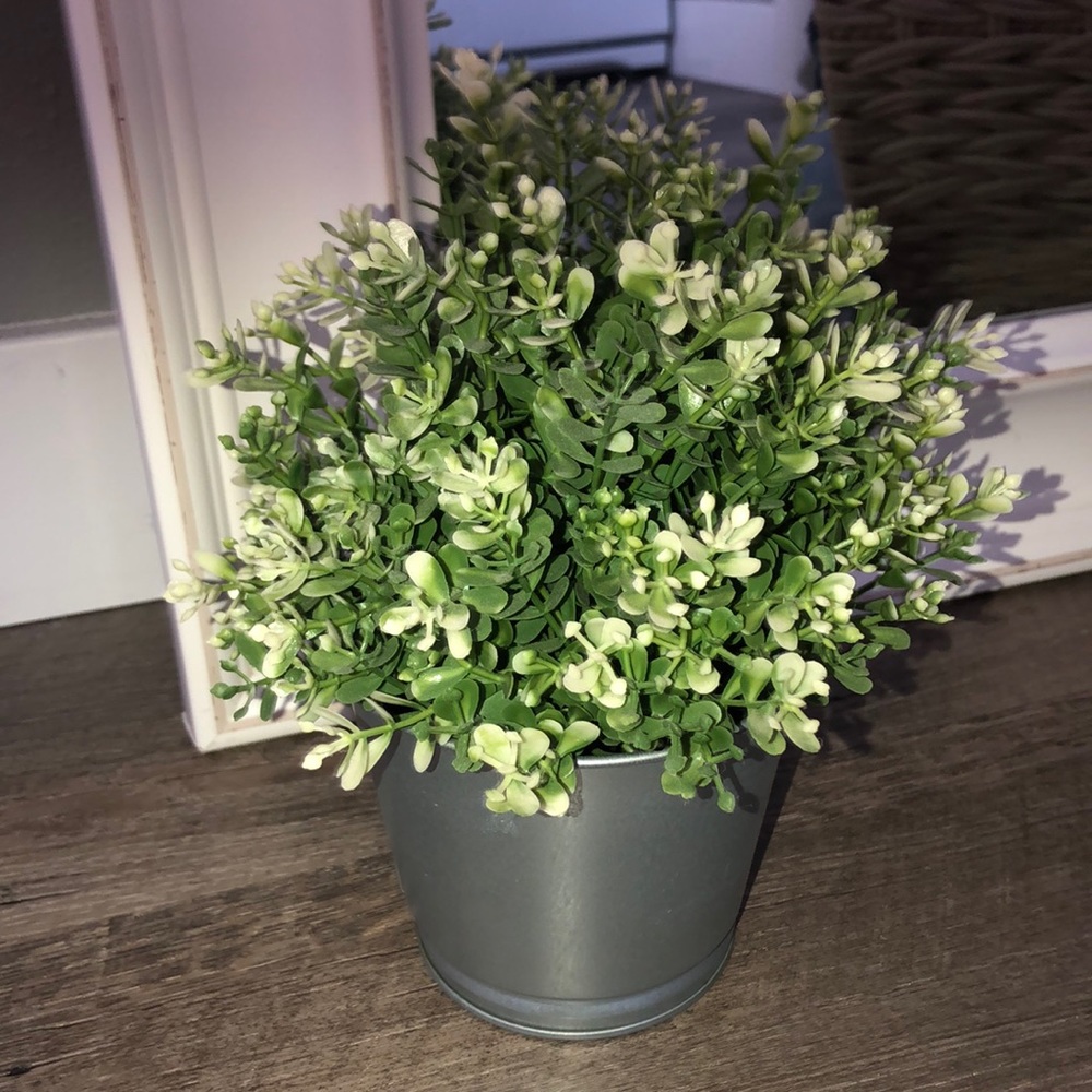 FAKE PLANT